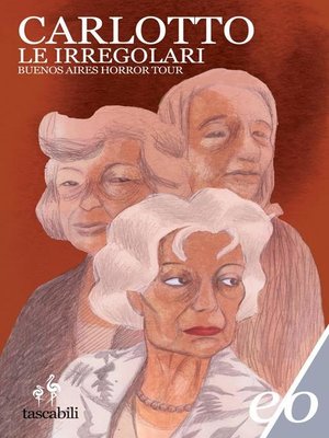 cover image of Le irregolari